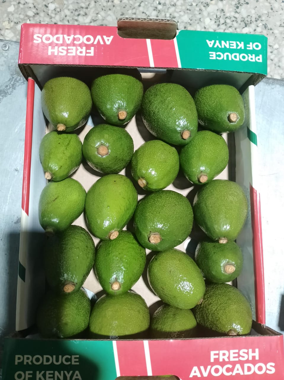 Packed Hass Avocado 20 pieces per box